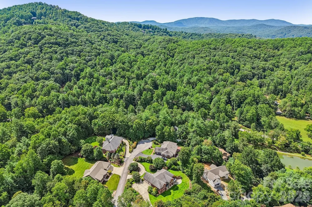 28 Tudor Crescent Court Hendersonville, NC 28739