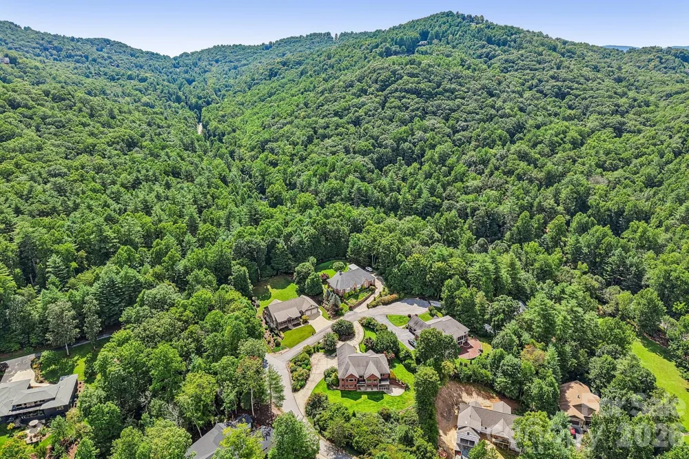 28 Tudor Crescent Court Hendersonville, NC 28739