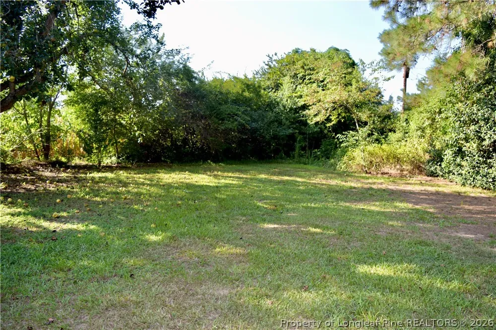 14740 Nc Highway 41 Highway S Fairmont, NC 28340