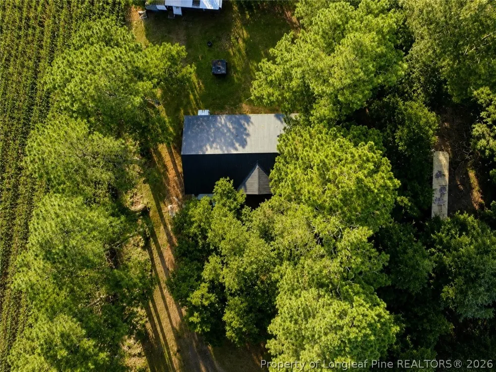 14740 Nc Highway 41 Highway S Fairmont, NC 28340