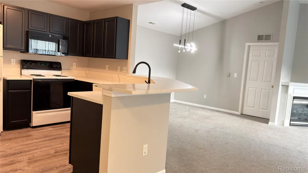 24202 Chesapeake Circle Walled Lake City, MI 48390