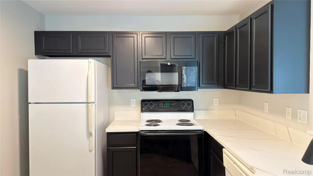 24202 Chesapeake Circle Walled Lake City, MI 48390