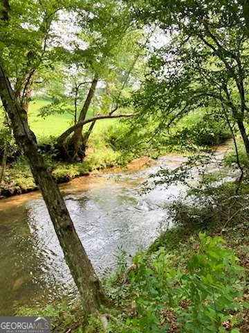 TR 2 & 3 Settlement RD Young Harris, GA 30582