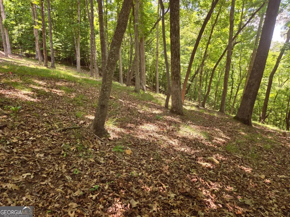 TR 2 & 3 Settlement RD Young Harris, GA 30582