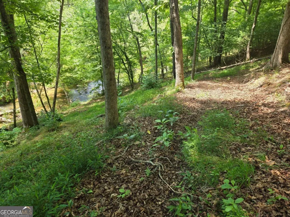 TR 2 & 3 Settlement RD Young Harris, GA 30582
