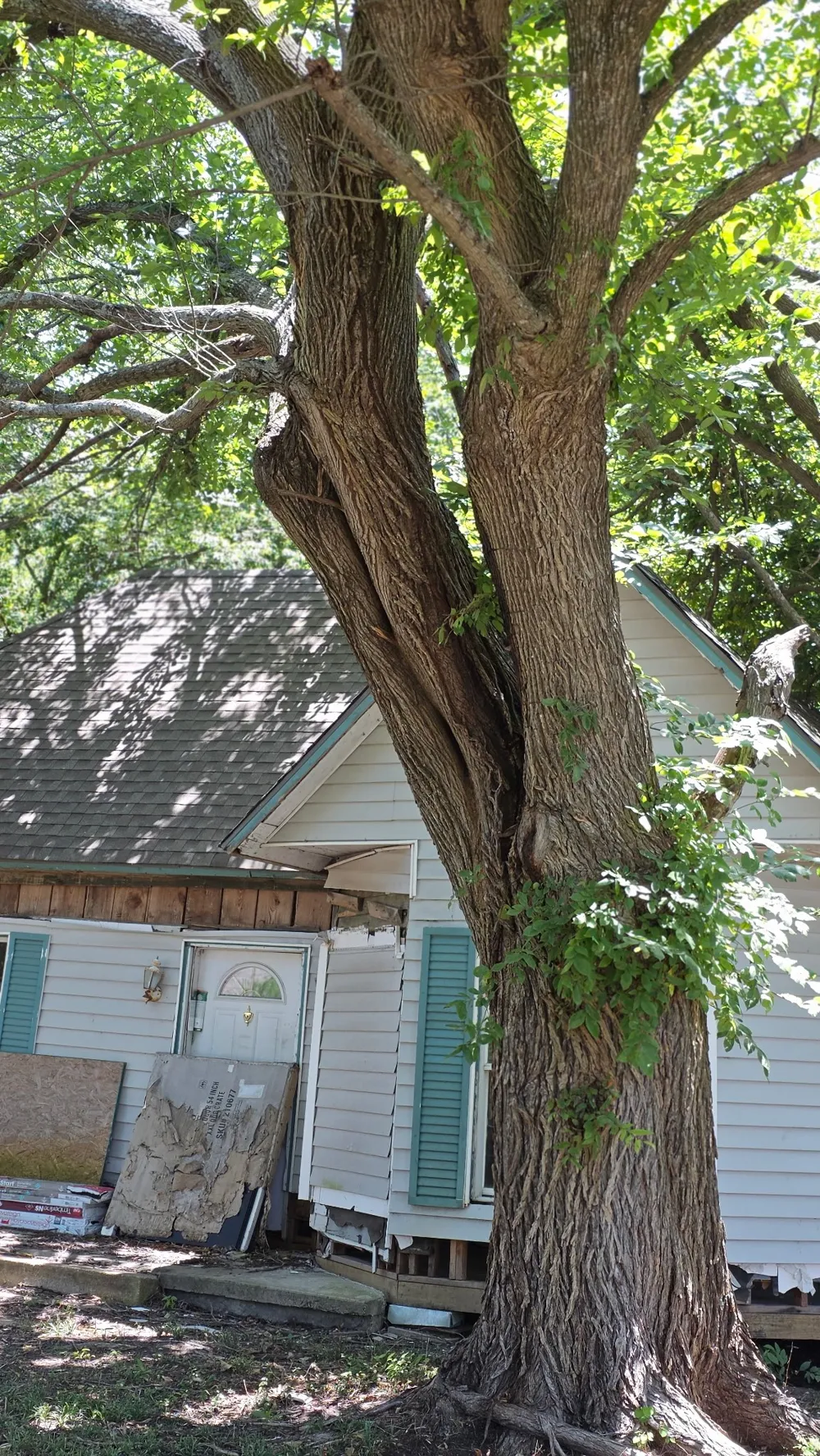 107 W Travis Street Leonard, TX 75452