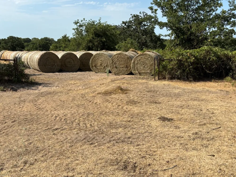 868 Nored Road Forestburg, TX 76239