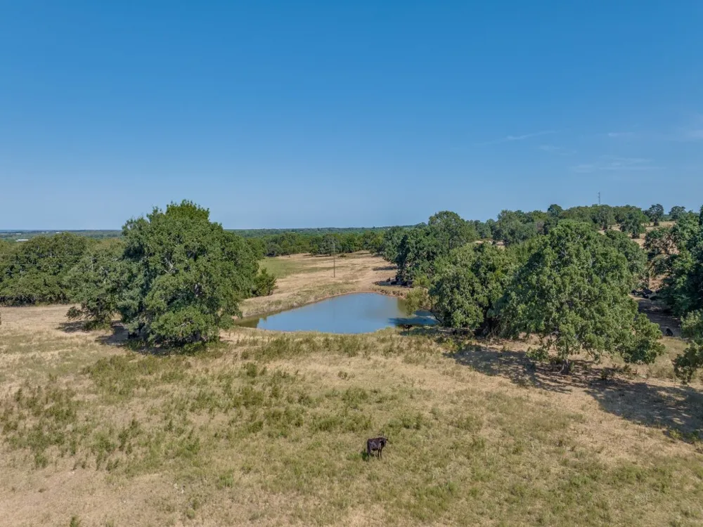 868 Nored Road Forestburg, TX 76239