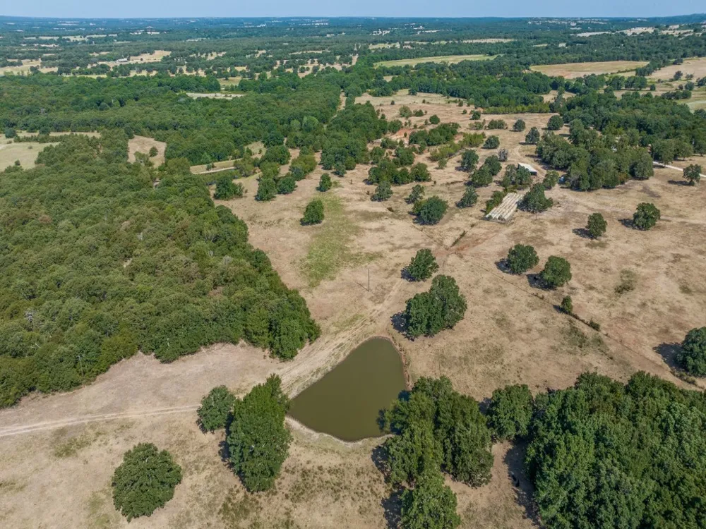 868 Nored Road Forestburg, TX 76239