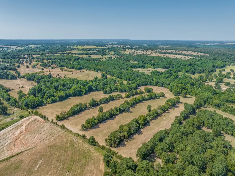 868 Nored Road Forestburg, TX 76239