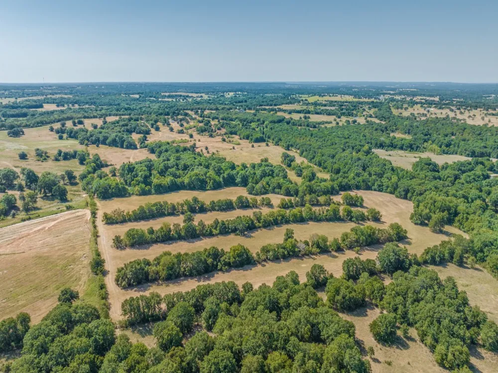 868 Nored Road Forestburg, TX 76239