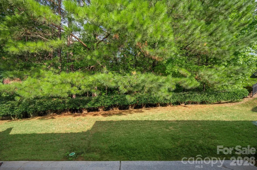 35168 Carnation Lane Indian Land, SC 29707
