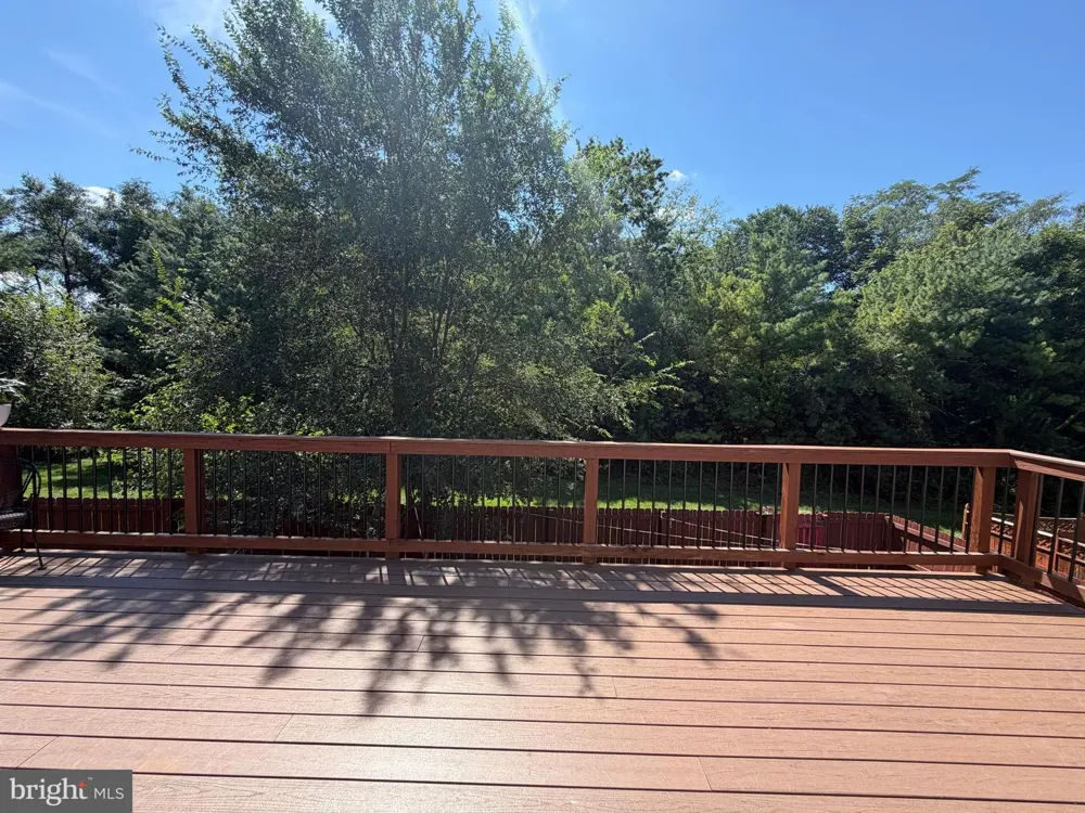 117 OLD DOMINION DRIVE Winchester, VA 22603