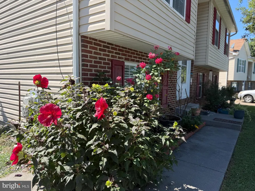 117 OLD DOMINION DRIVE Winchester, VA 22603