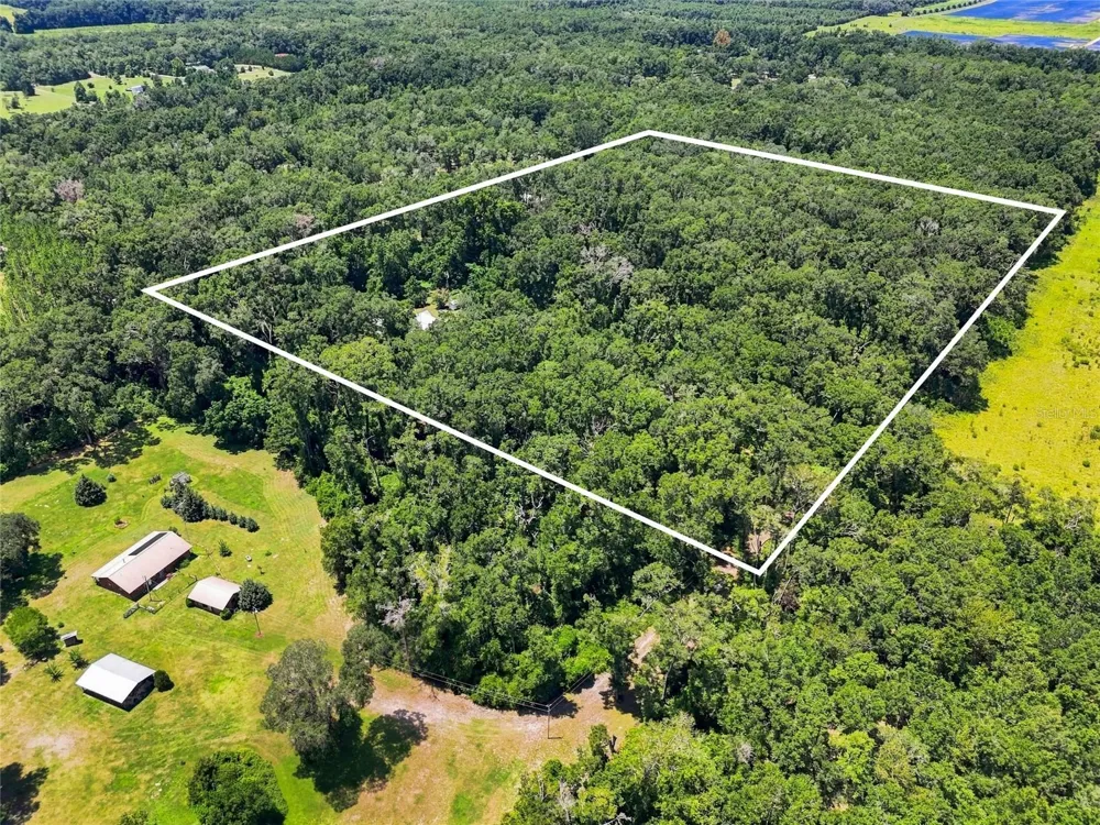 459 SW BIGFOOT COURT Fort White, FL 32038