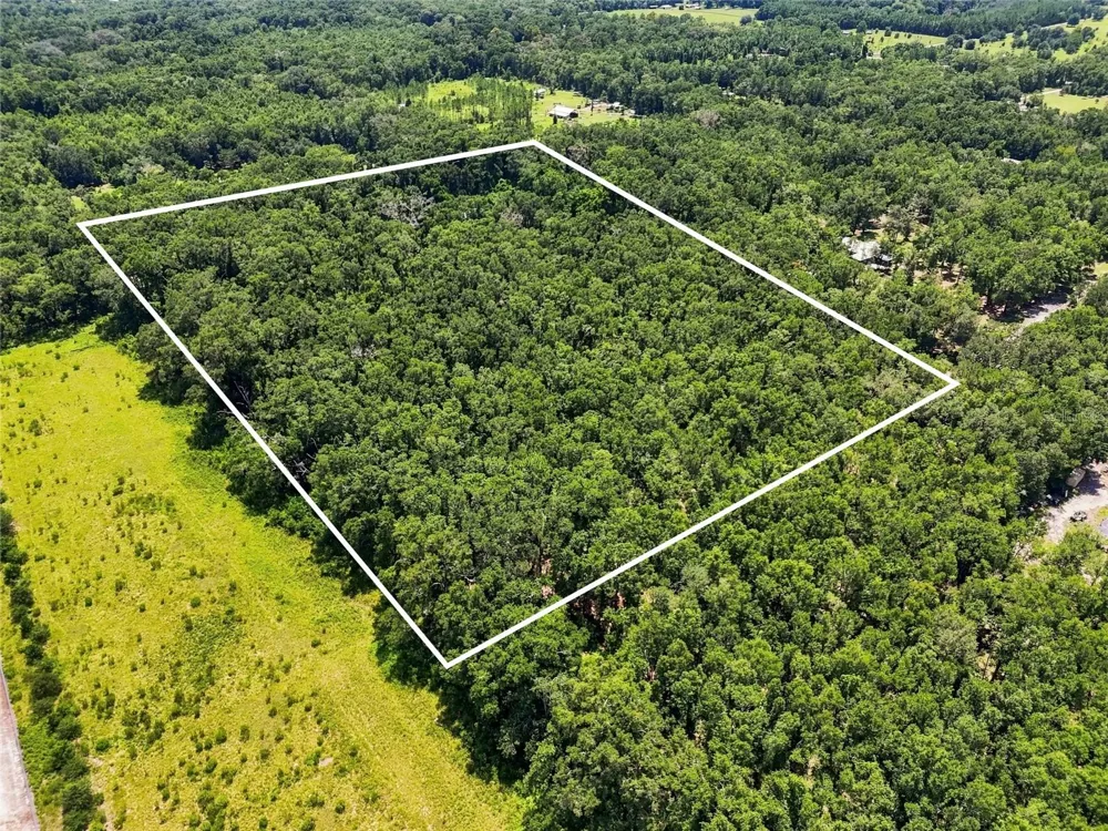 459 SW BIGFOOT COURT Fort White, FL 32038