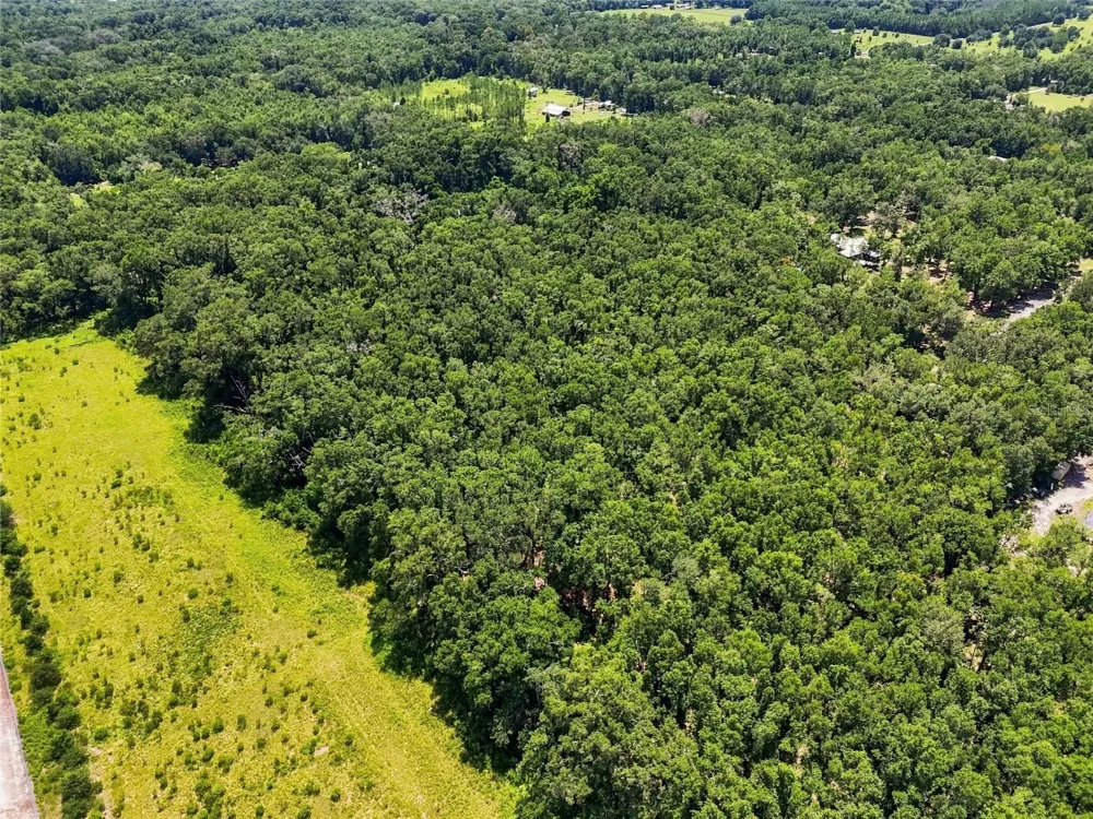 459 SW BIGFOOT COURT Fort White, FL 32038