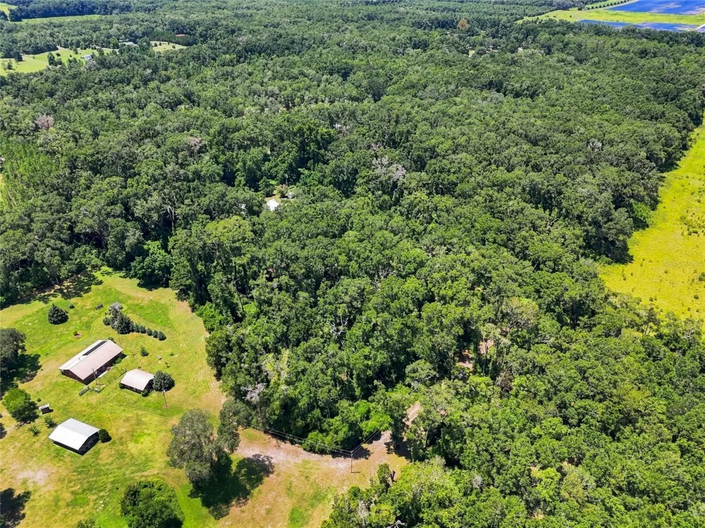 459 SW BIGFOOT COURT Fort White, FL 32038