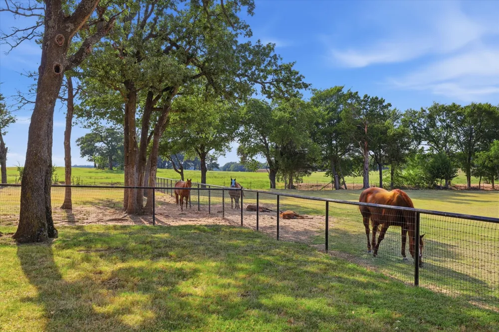 12 County Road 2114 Gainesville, TX 76240