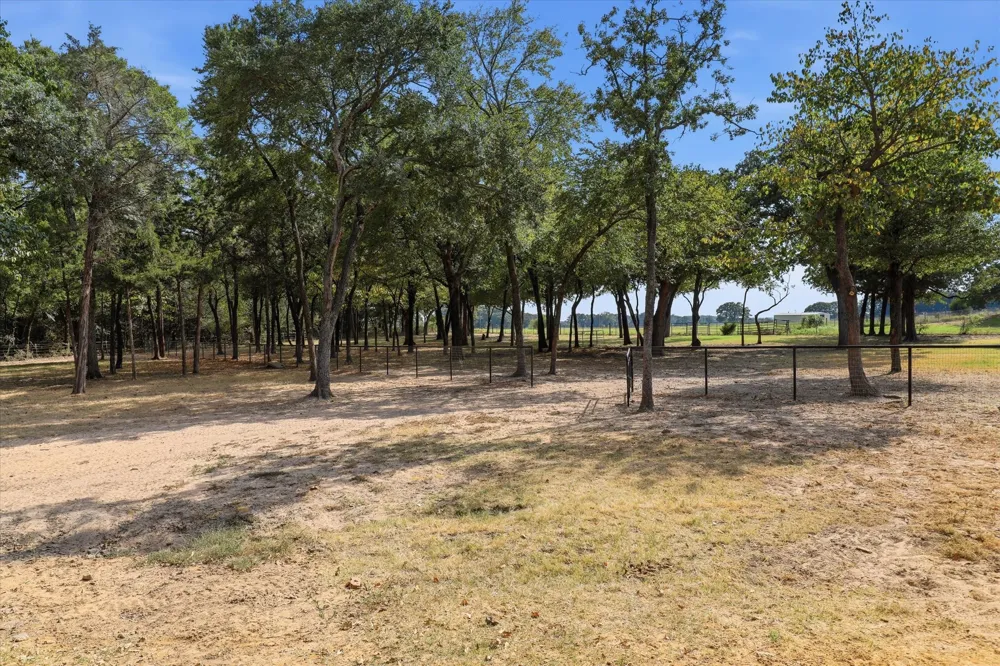 12 County Road 2114 Gainesville, TX 76240