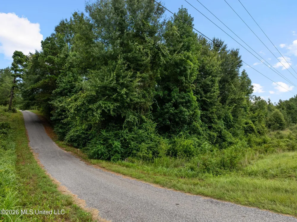 3 Hwy 84 Collins, MS 39428