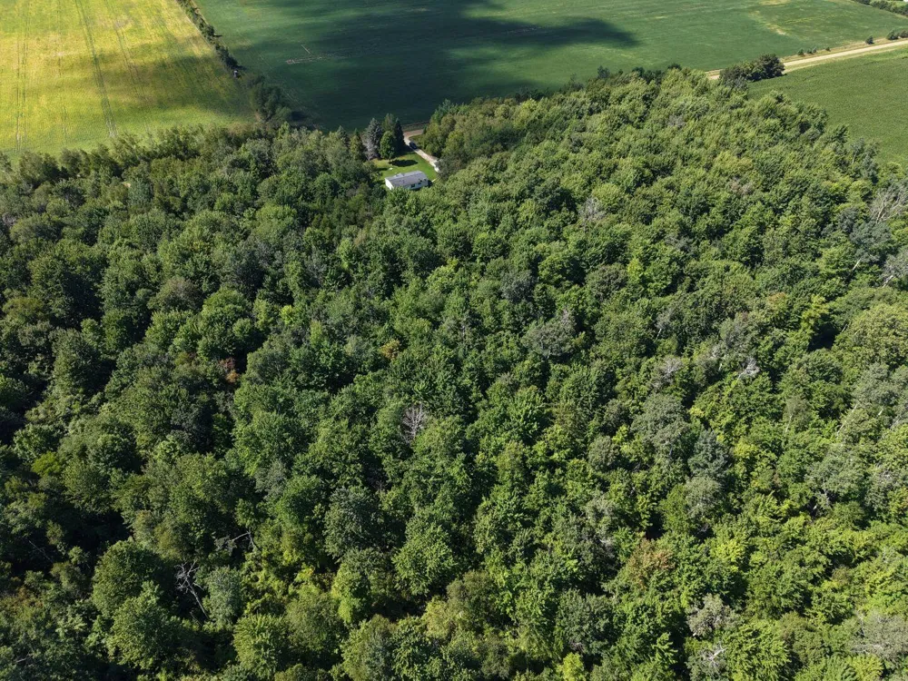 5800 Brining Road Huron Township, MI 48468