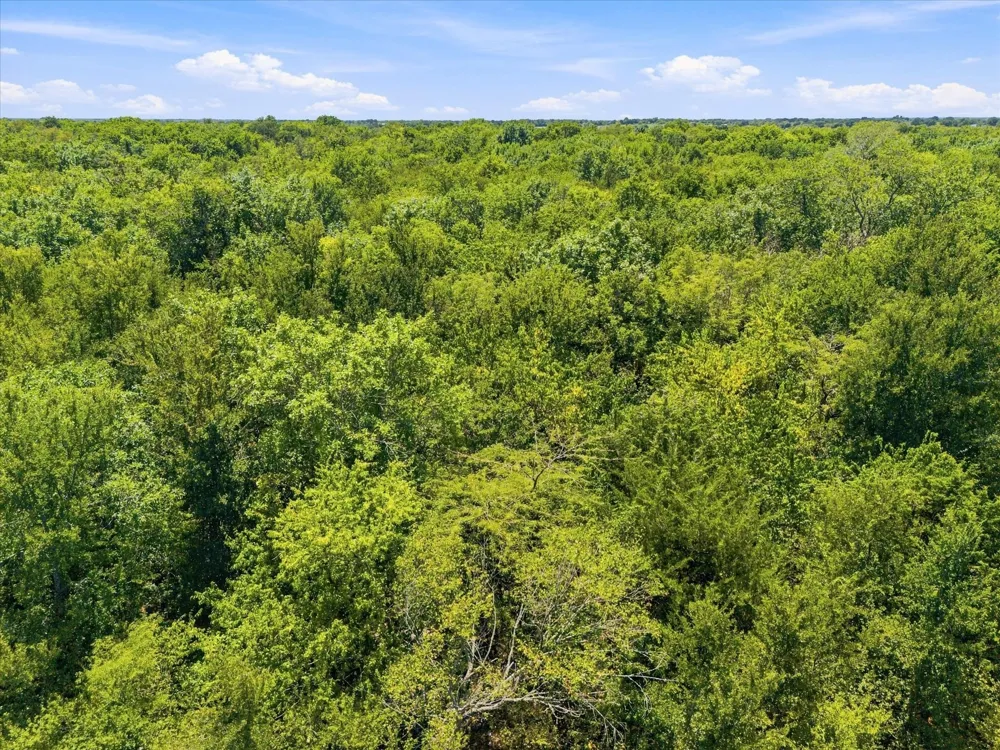 457 Miles Lane Greenville, TX 75401