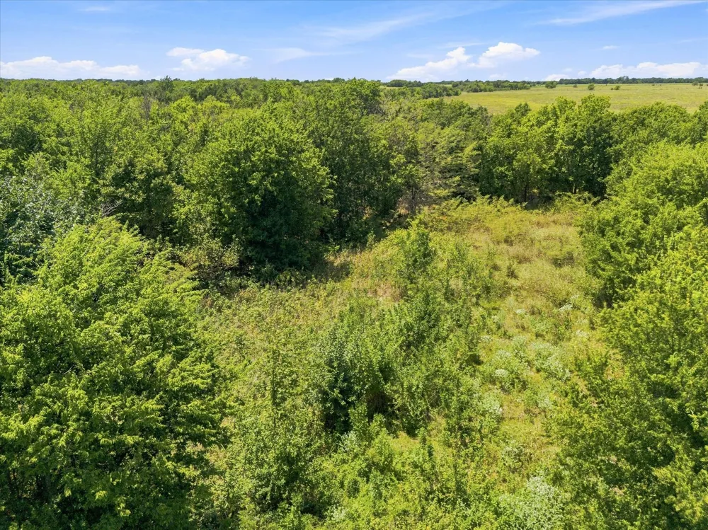 457 Miles Lane Greenville, TX 75401