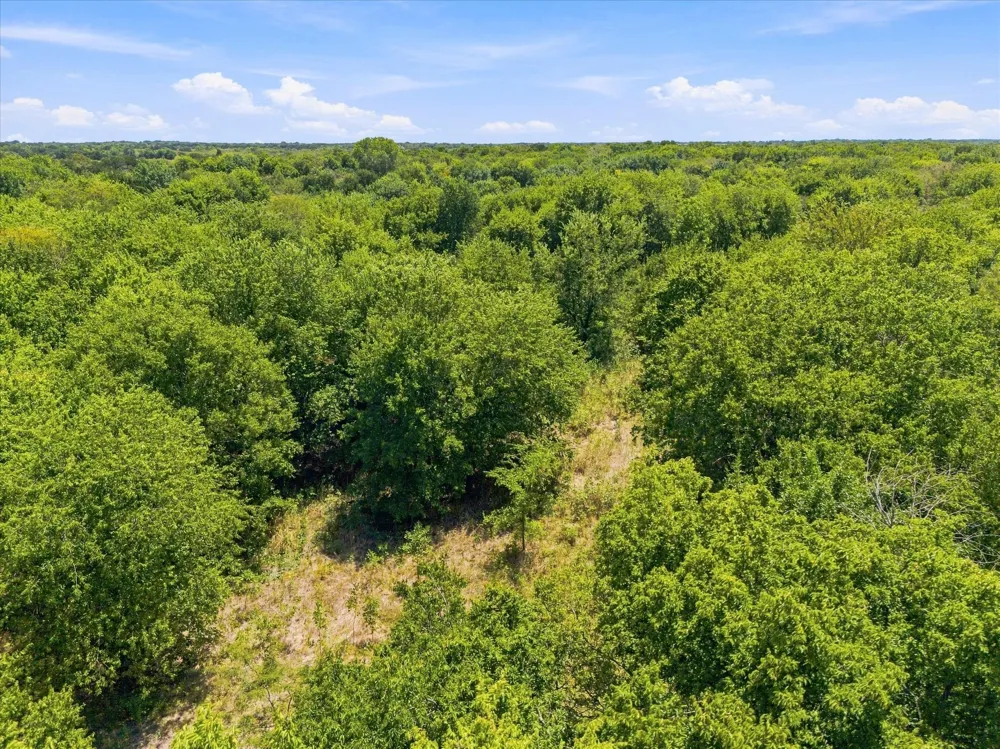 457 Miles Lane Greenville, TX 75401