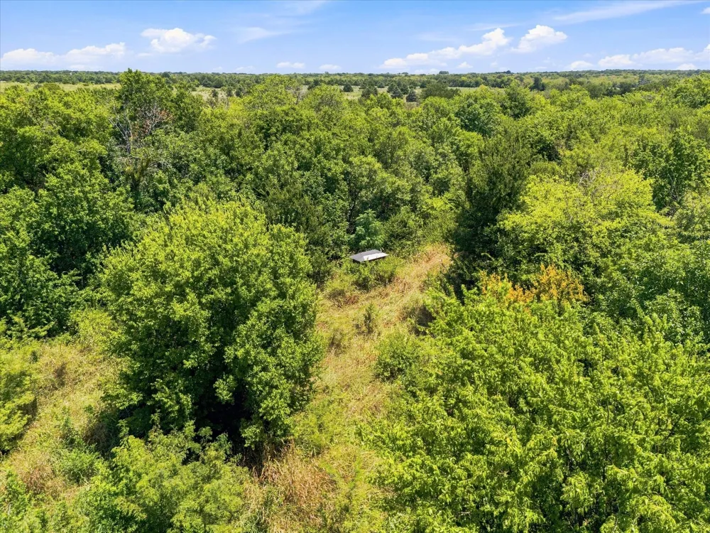 457 Miles Lane Greenville, TX 75401