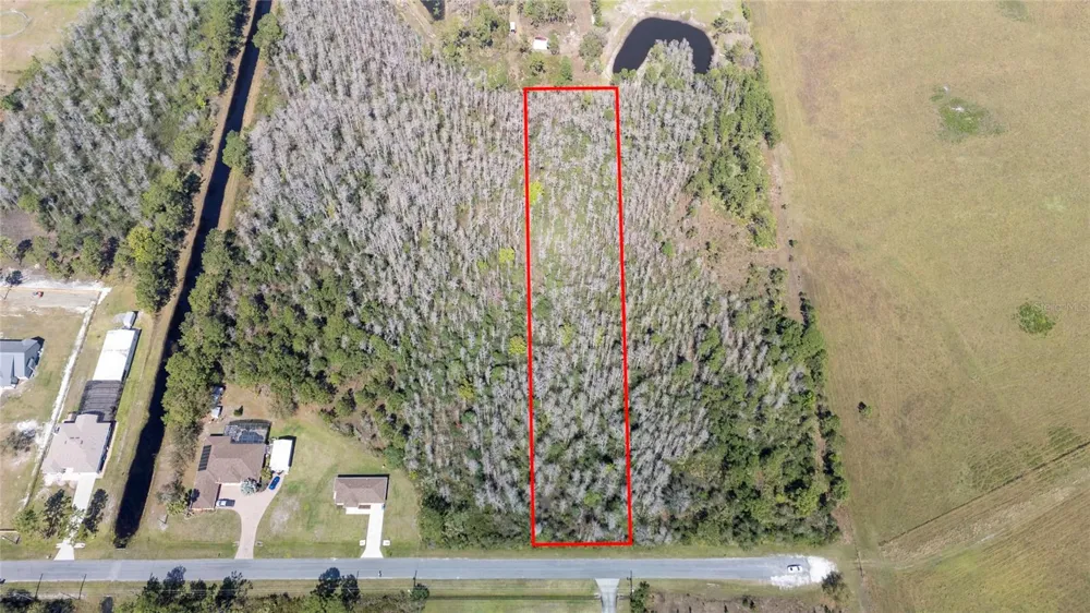 SABAL STREET Orlando, FL 32833