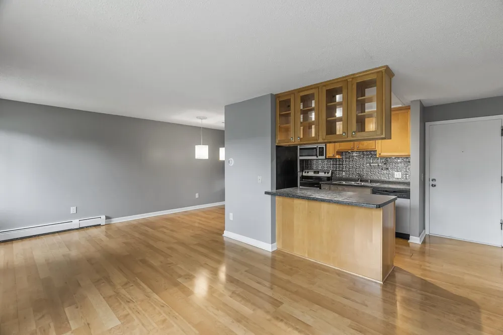 4110 Rahn Road #223 Eagan, MN 55122