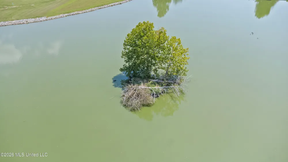 1975 Green Village Drive Hernando, MS 38632