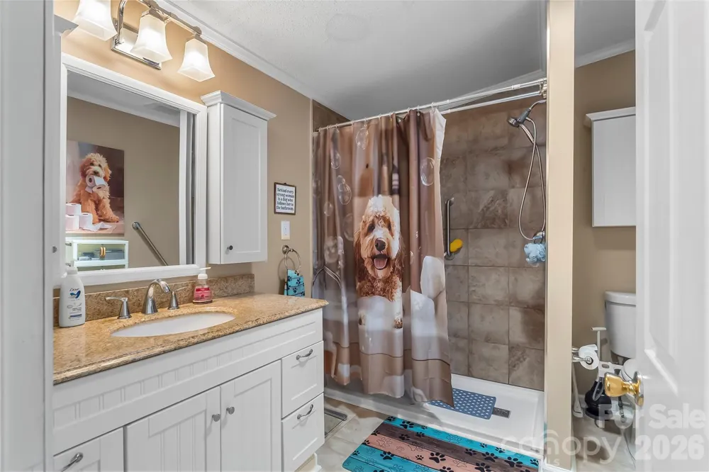 208 Red Birch Court Hendersonville, NC 28739