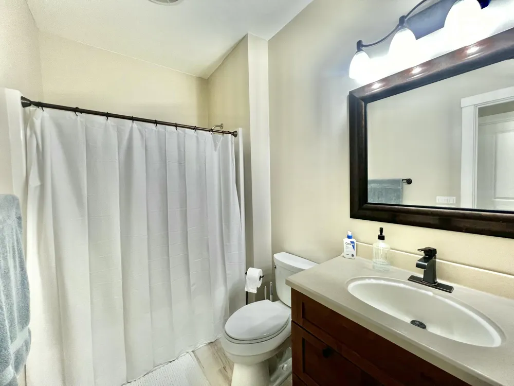 132 Remington Drive Spring Arbor, MI 49283