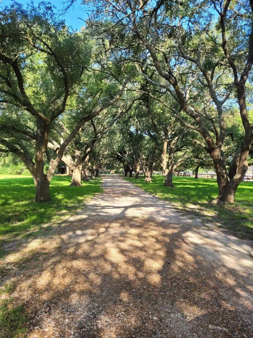 5606 Highland Road Santa Fe, TX 77517