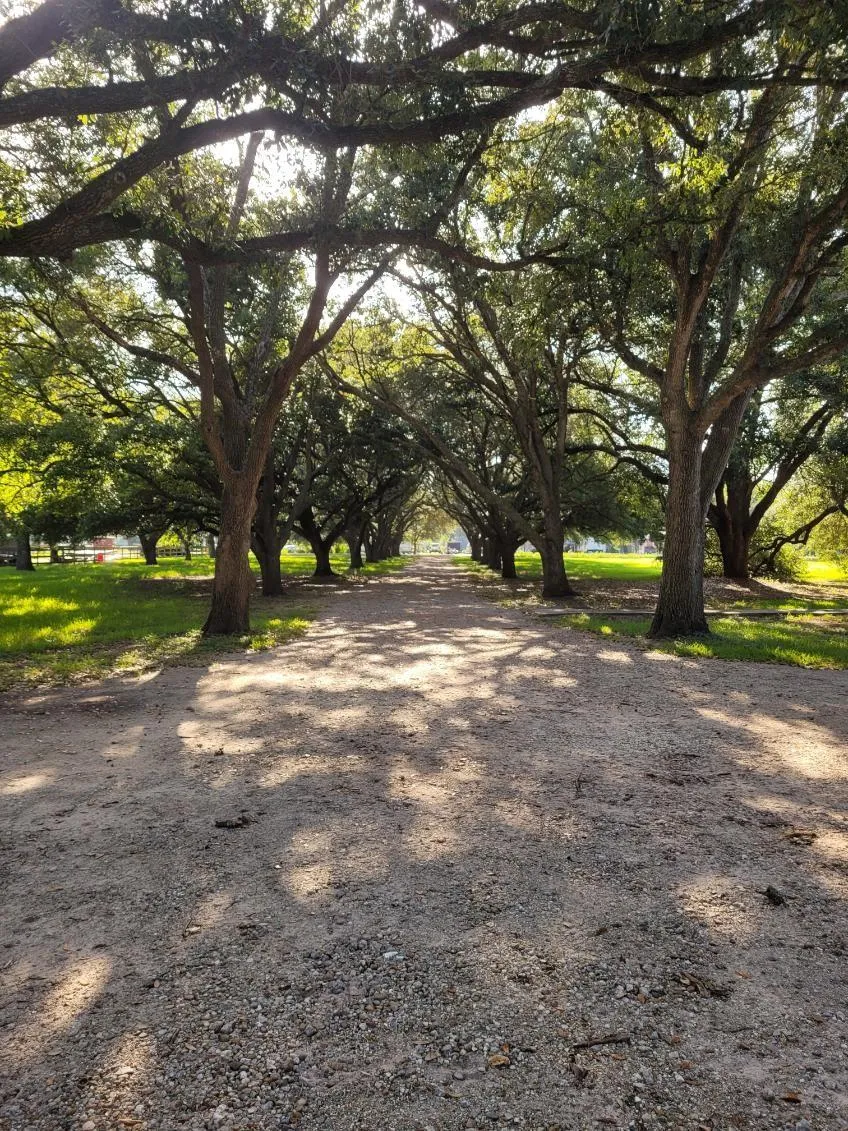 5606 Highland Road Santa Fe, TX 77517
