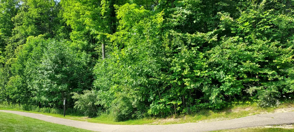105 Legend Trail Custer Township, MI 49615