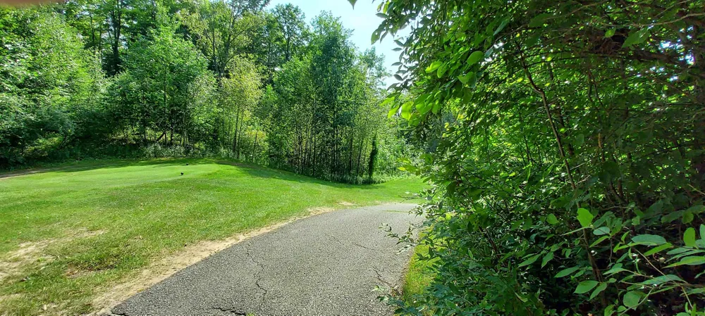 105 Legend Trail Custer Township, MI 49615
