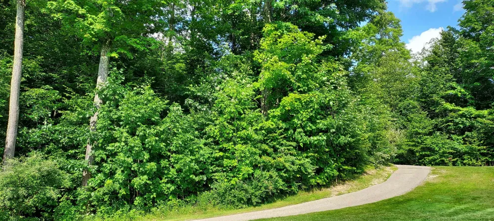 105 Legend Trail Custer Township, MI 49615