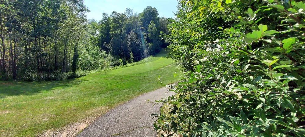 105 Legend Trail Custer Township, MI 49615