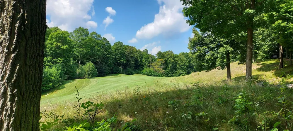 105 Legend Trail Custer Township, MI 49615