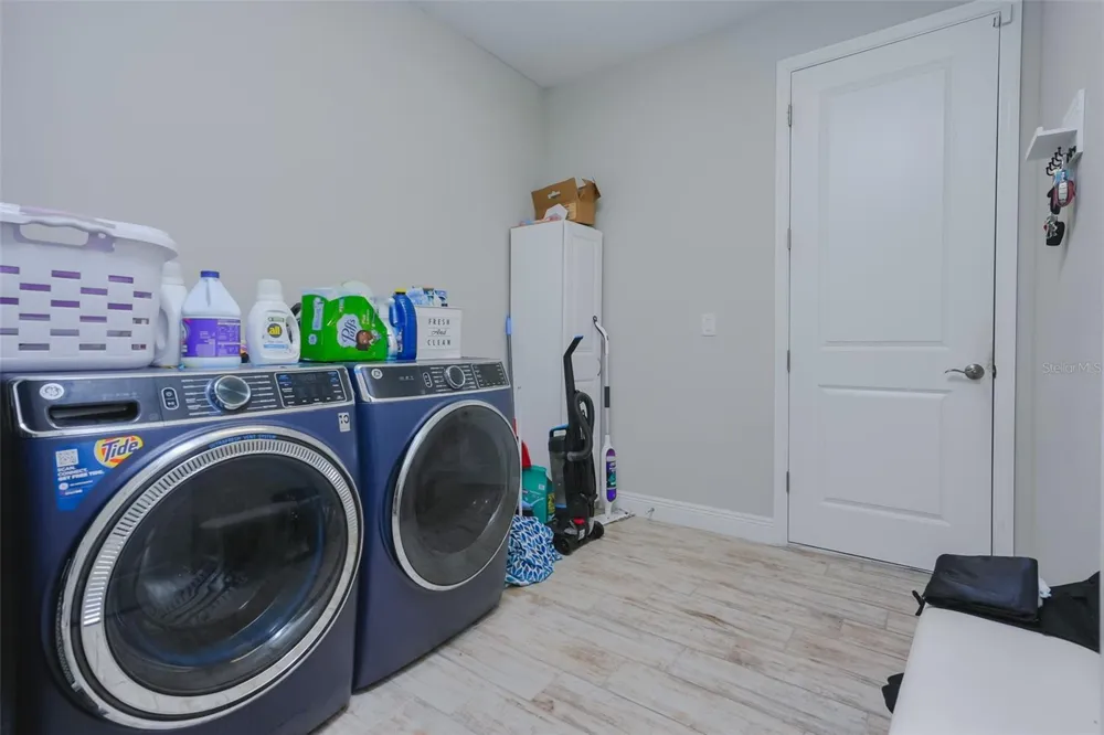 12648 BERGSTROM BAY DRIVE Riverview, FL 33579