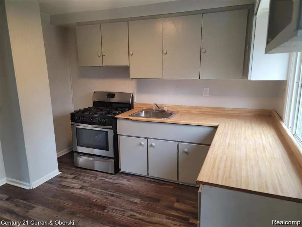 25906 Lehigh Street Inkster City, MI 48141
