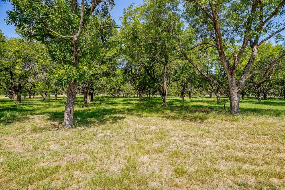 2525 Buckskin Drive Granbury, TX 76049