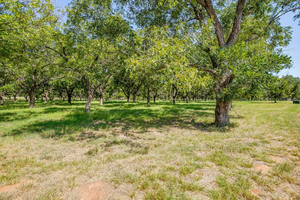 2525 Buckskin Drive Granbury, TX 76049