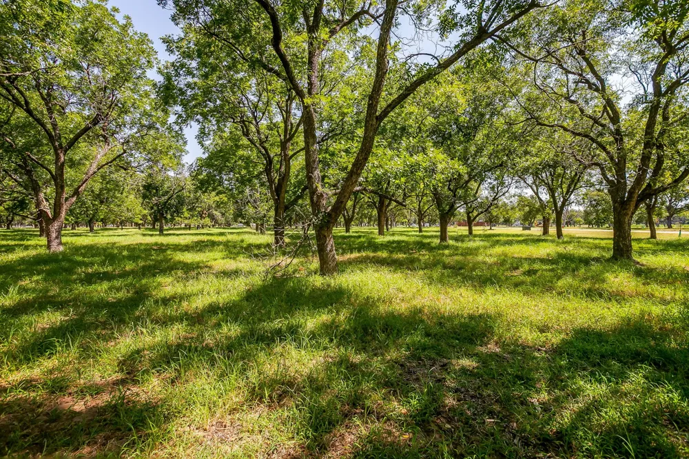 2525 Buckskin Drive Granbury, TX 76049
