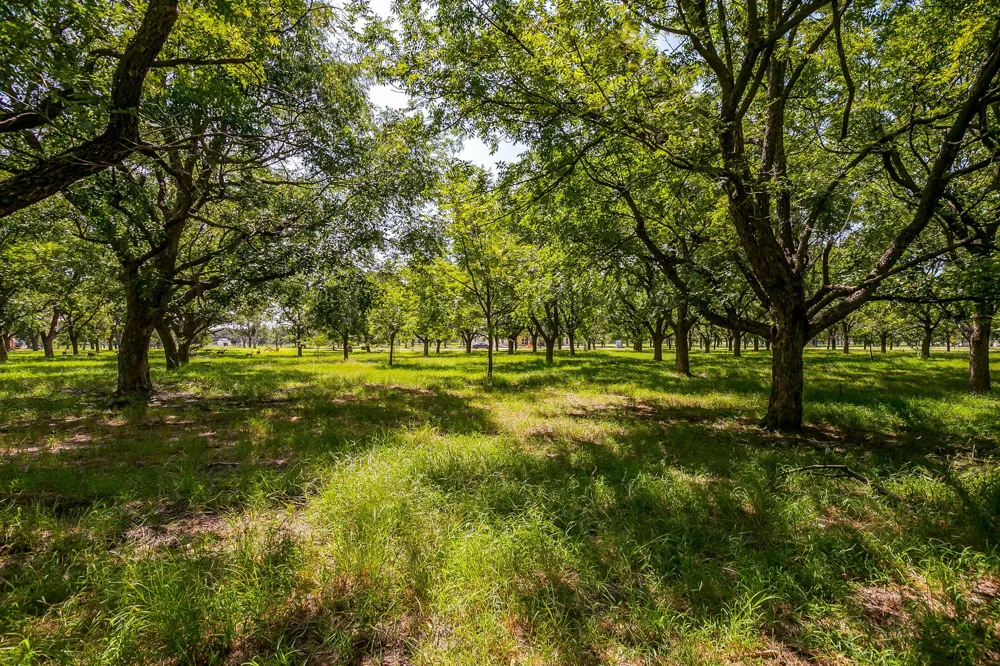 2525 Buckskin Drive Granbury, TX 76049