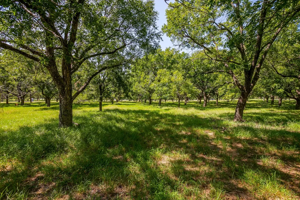 2525 Buckskin Drive Granbury, TX 76049