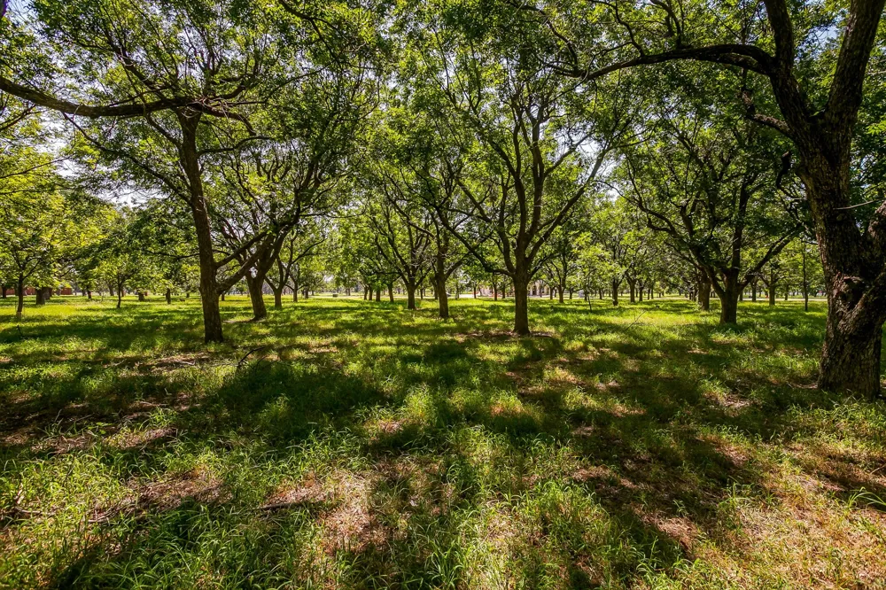 2525 Buckskin Drive Granbury, TX 76049